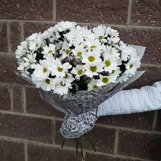 Un bouquet de 7 chrysanthèmes blancs