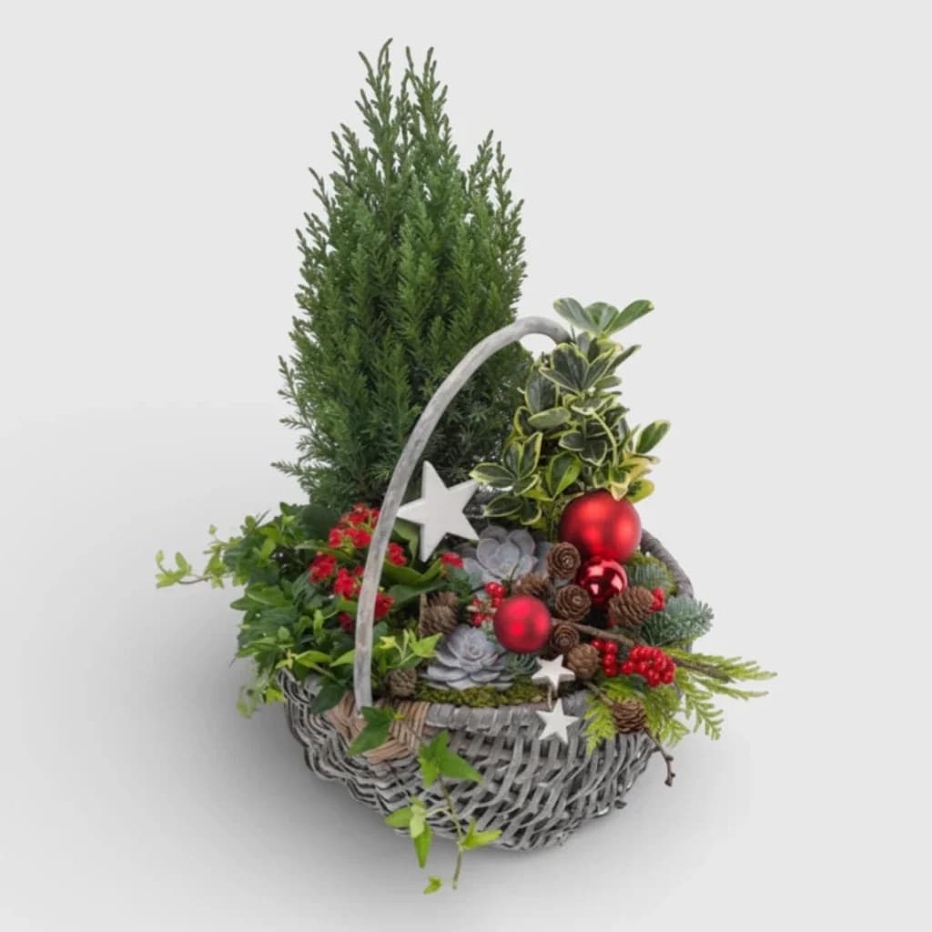 Composition dans le panier ' Jardin de Noël '