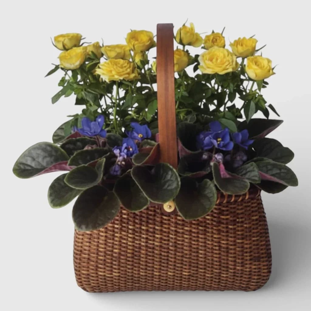 Panier de roses et de violettes ' Jardin dans un panier '
