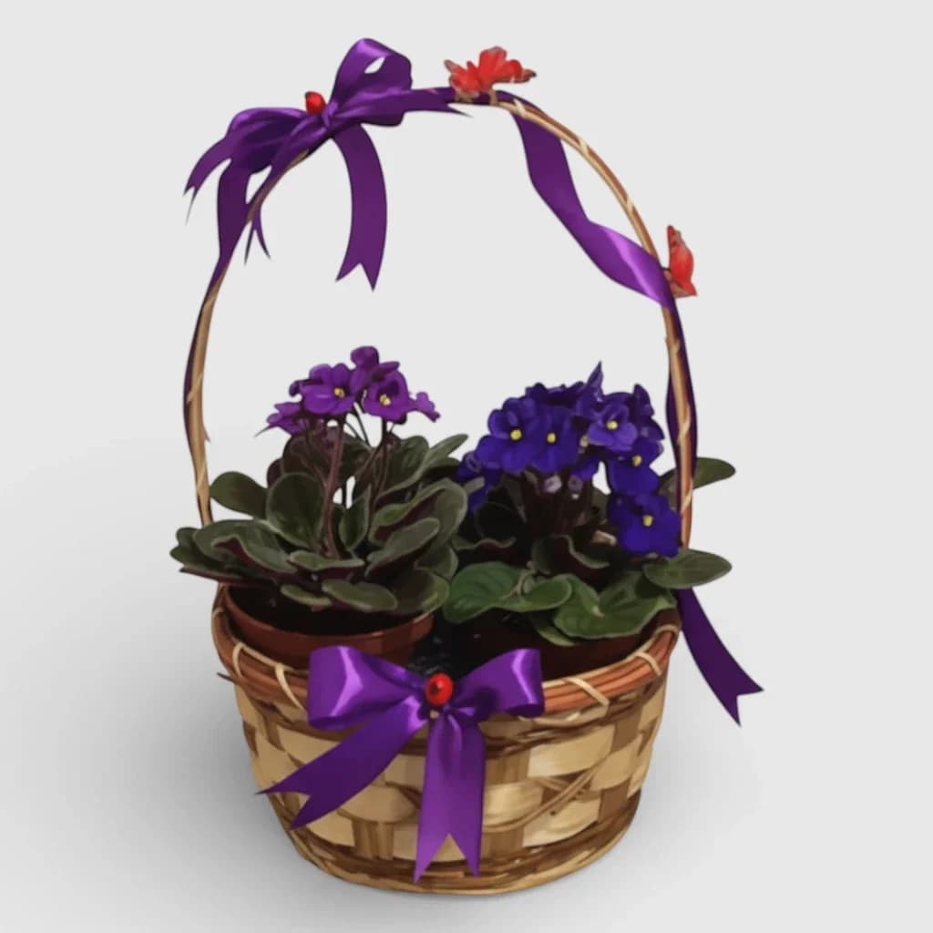 Panier de violettes ' Violettes et papillons '