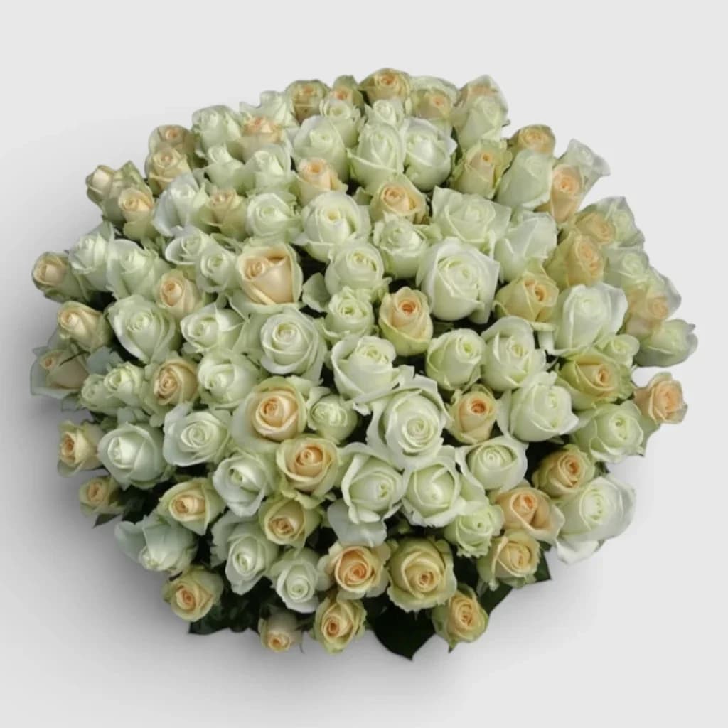 Bouquet VIP de 101 roses blanches et crème
