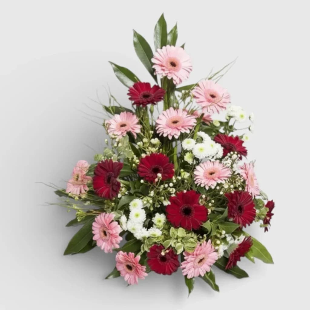 Composition de gerberas