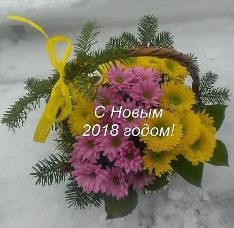 С наступающим Рождеством и Новым 2018 Годом!!!