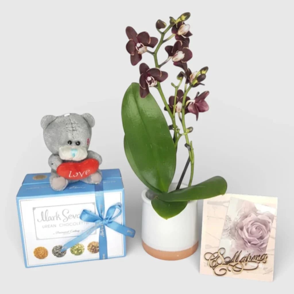 Mini orchidée avec cadeaux