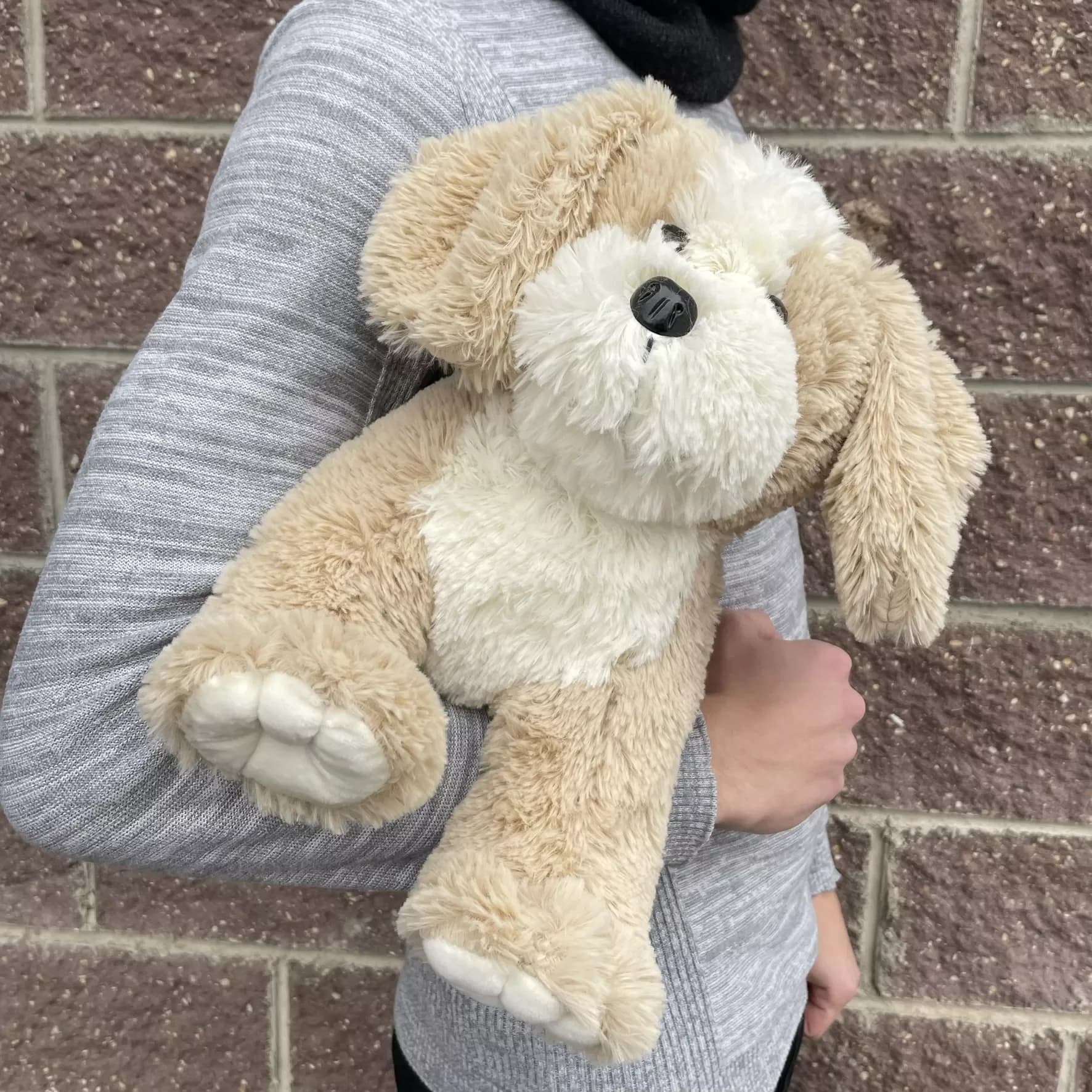 Peluche chien ' Bouff ', couleur café