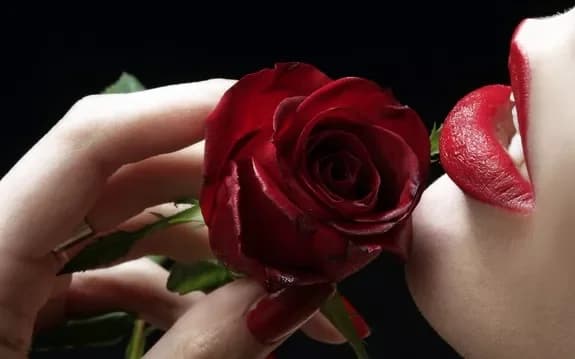 Acheter des roses rouges avec livraison à Minsk, en Biélorussie