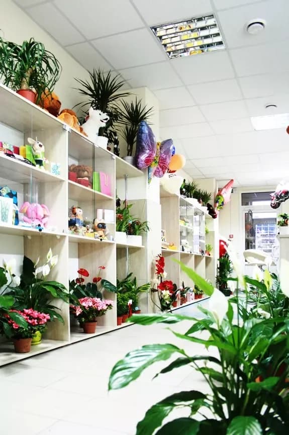 Salon de fleurs et de cadeaux : Minsk, Matoussevitcha, 72