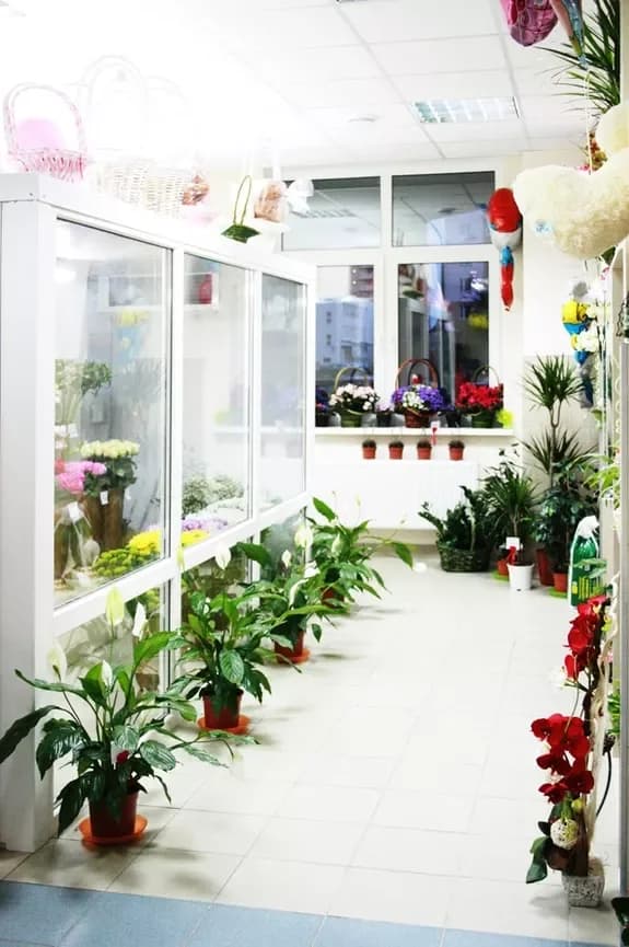 Salon de fleurs et de cadeaux : Minsk, Matoussevitcha, 72