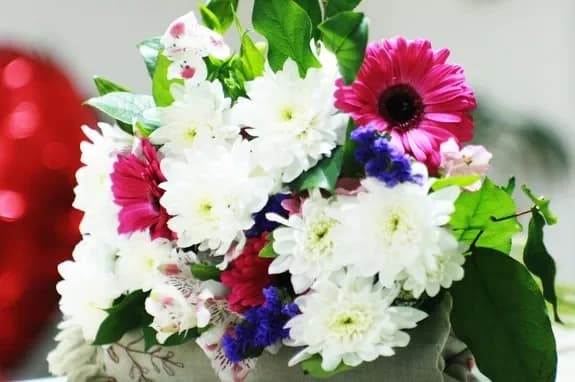 Salon de fleurs et de cadeaux : Minsk, Matoussevitcha, 72