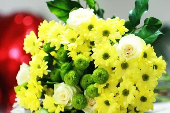 Salon de fleurs et de cadeaux : Minsk, Matoussevitcha, 72