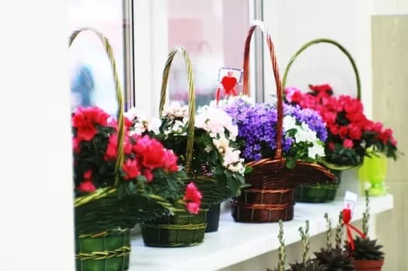 Salon de fleurs et de cadeaux : Minsk, Matoussevitcha, 72