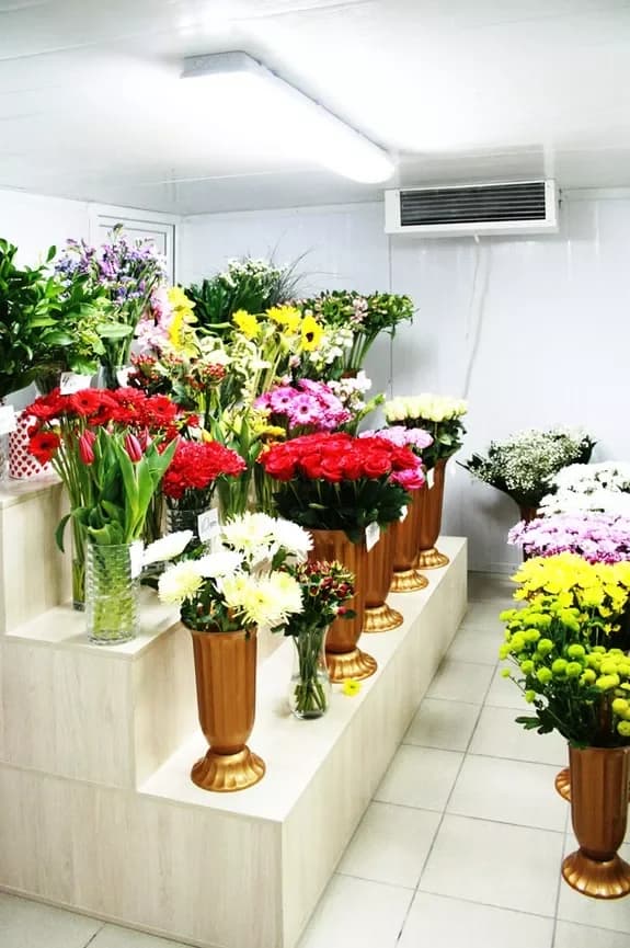 Salon de fleurs et de cadeaux : Minsk, Matoussevitcha, 72