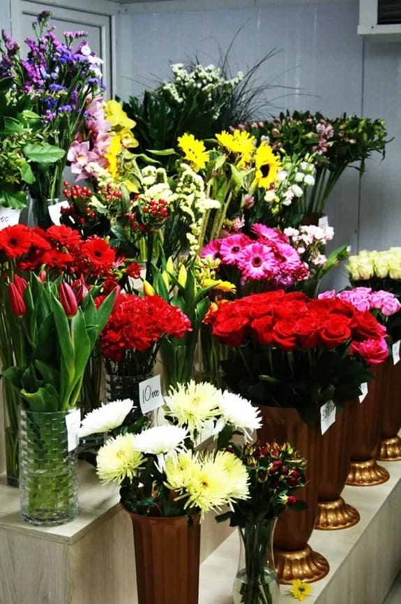 Salon de fleurs et de cadeaux : Minsk, Matoussevitcha, 72
