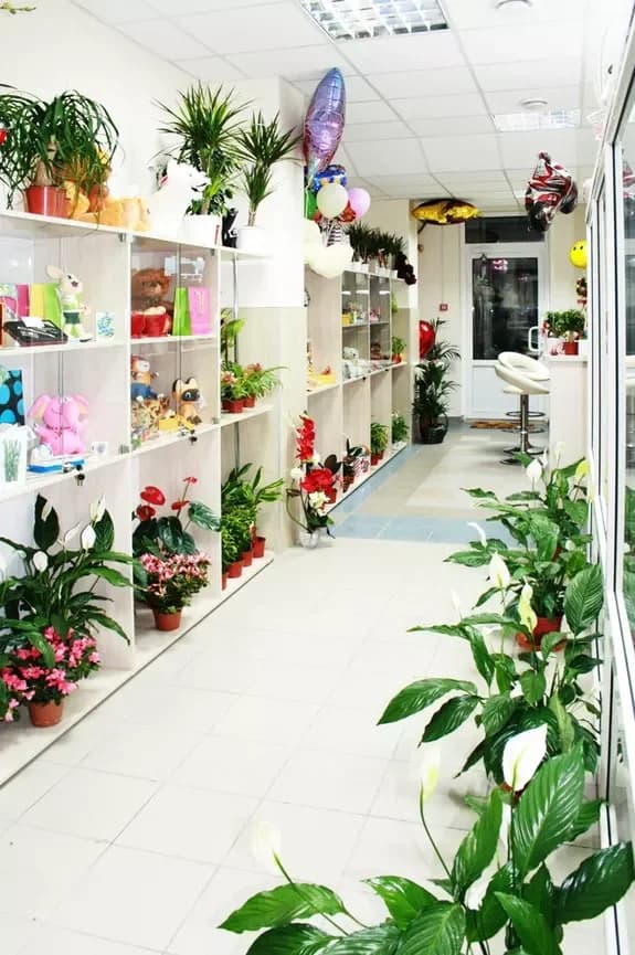 Salon de fleurs et de cadeaux : Minsk, Matoussevitcha, 72