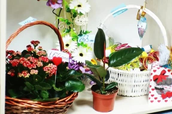 Salon de fleurs et de cadeaux : Minsk, Matoussevitcha, 72
