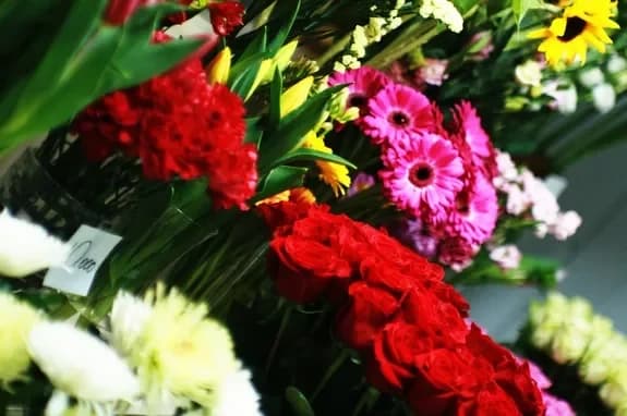 Salon de fleurs et de cadeaux : Minsk, Matoussevitcha, 72