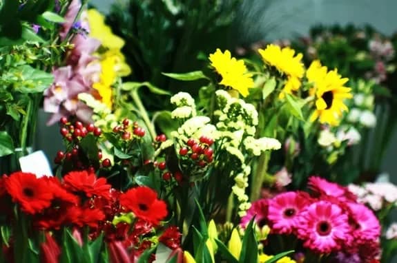 Salon de fleurs et de cadeaux : Minsk, Matoussevitcha, 72