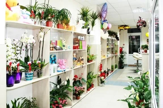 Salon de fleurs et de cadeaux : Minsk, Matoussevitcha, 72