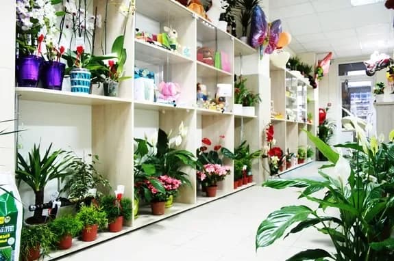 Salon de fleurs et de cadeaux : Minsk, Matoussevitcha, 72