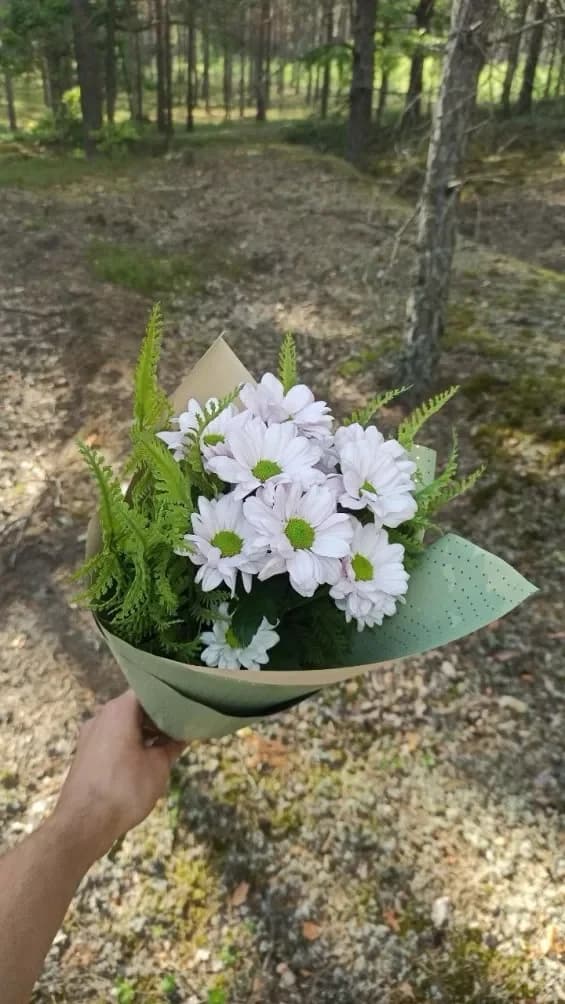 Beautés de la nature biélorusse