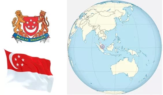 Livraison de fleurs et cadeaux à Singapour