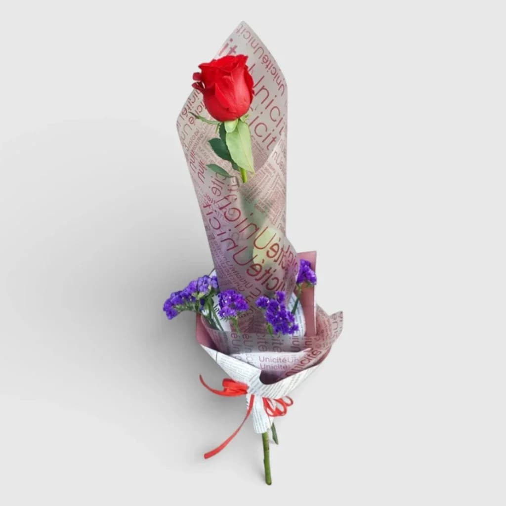 Rose rouge dans un emballage design