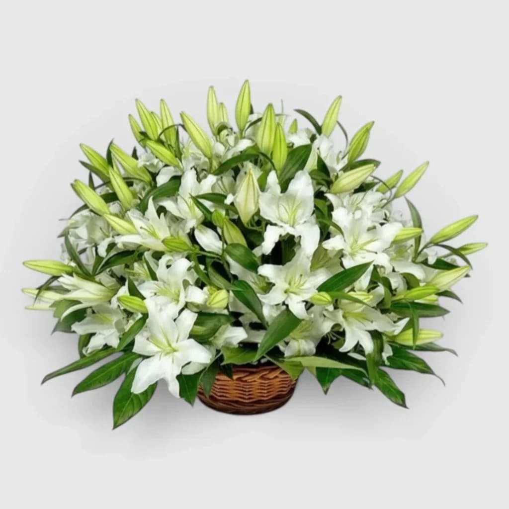Lys blancs dans un panier