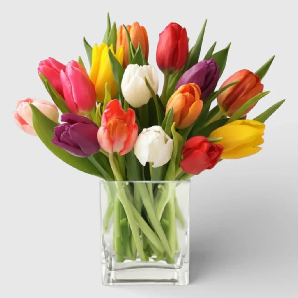 Bouquet de 21 tulipes ' Printemps '