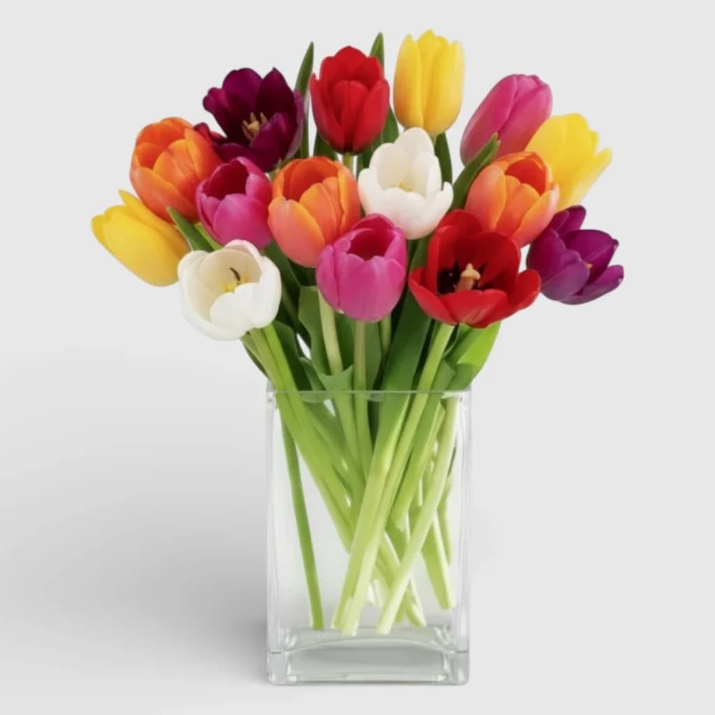 Bouquet de 15 tulipes ' Miracle ordinaire '