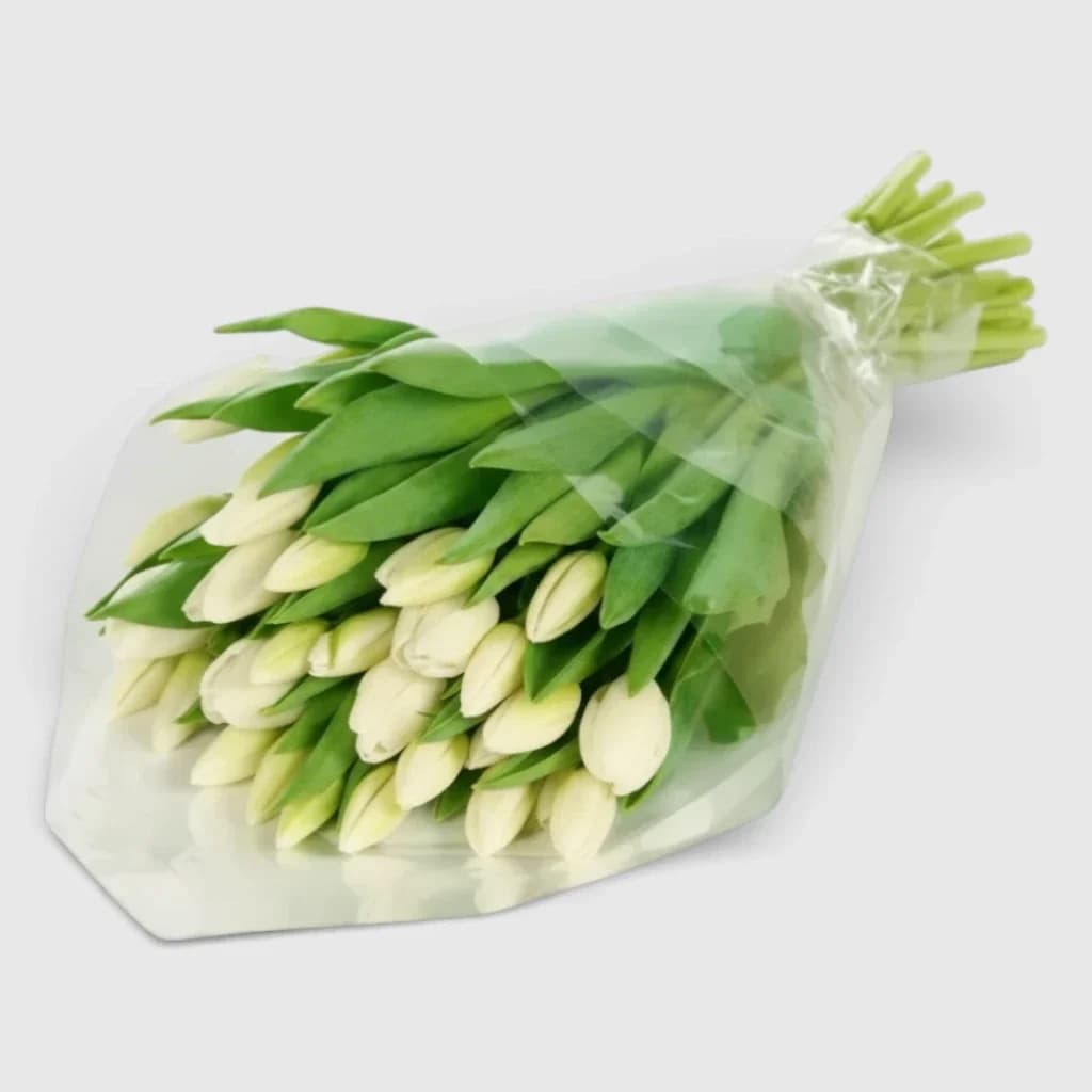 Bouquet de 39 tulipes blanches