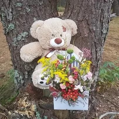 Ours en peluche marron, 38 cm.
