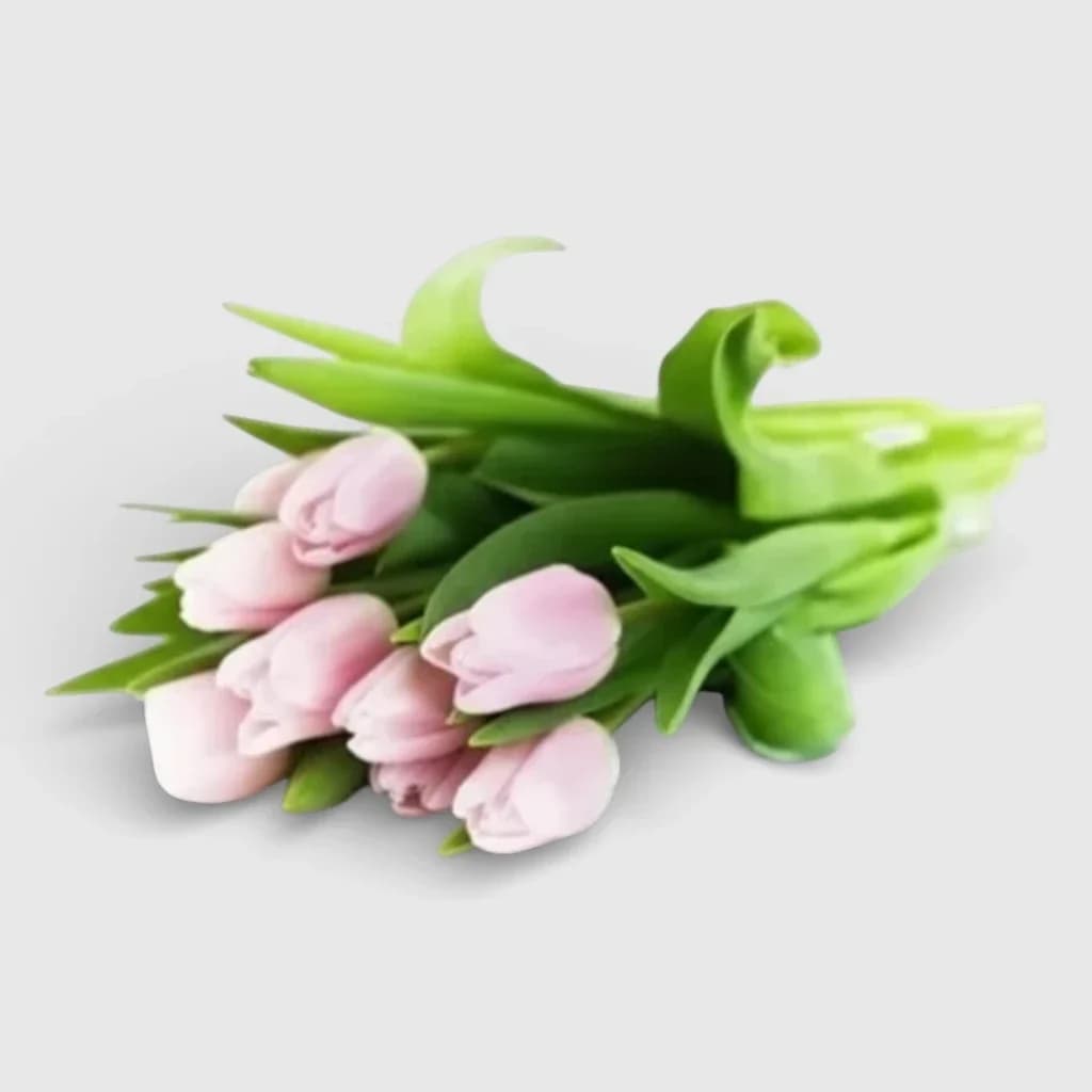 Bouquet de tulipes roses ' Parfum du printemps '