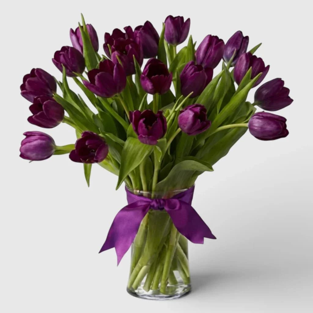 Bouquet de 21 tulipes violettes ' Passion '