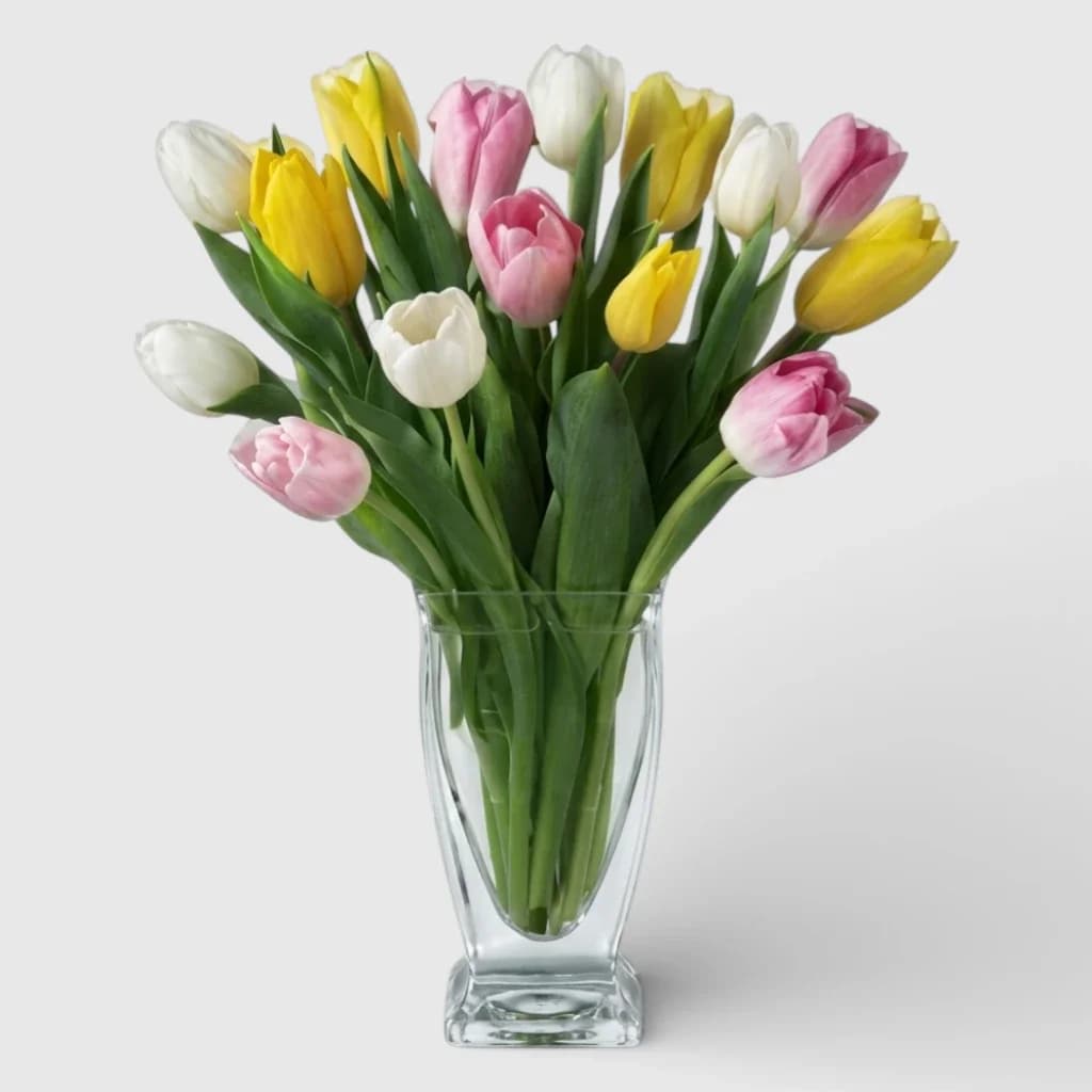 Bouquet de 15 tulipes ' Trésor de tulipes '
