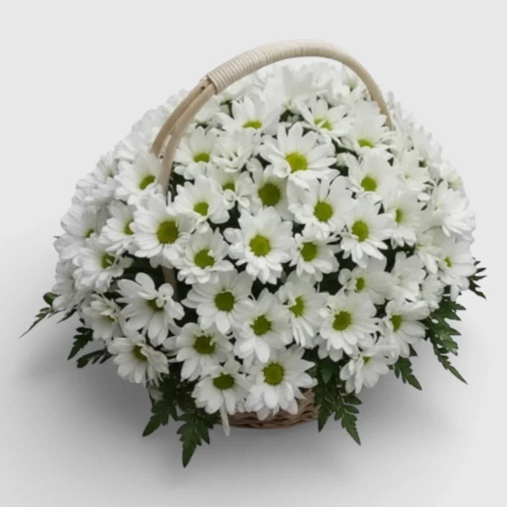 Corbeille de fleurs ' Chrysanthèmes blancs '