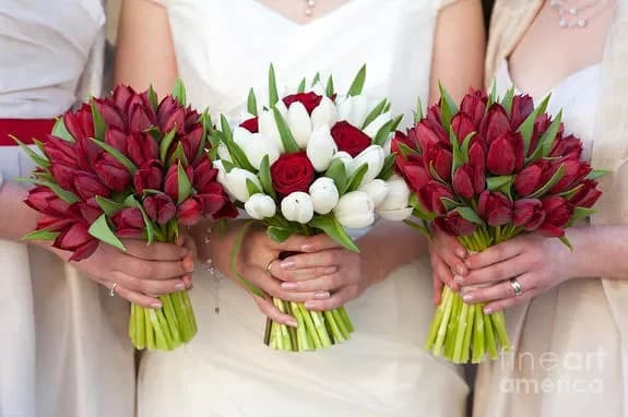 Acheter des tulipes avec livraison à Minsk, en Biélorussie